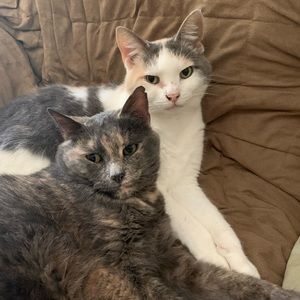 Meet your Posher, Haley